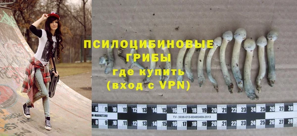 прущая мука Арсеньев