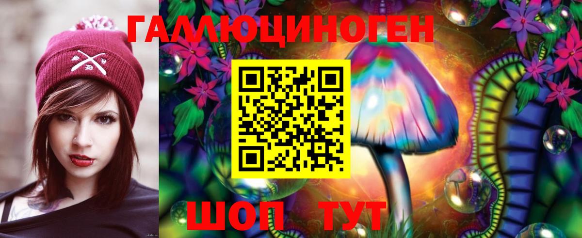 Галлюциногенные грибы Psilocybine cubensis Строитель